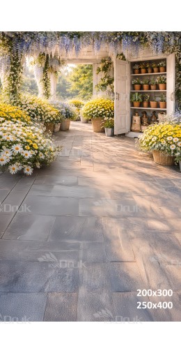 Tło fotograficzne „Słoneczna oranżeria z margaretkami” | E877